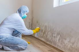 Reliable Crest, CA Mold Removal Solutions