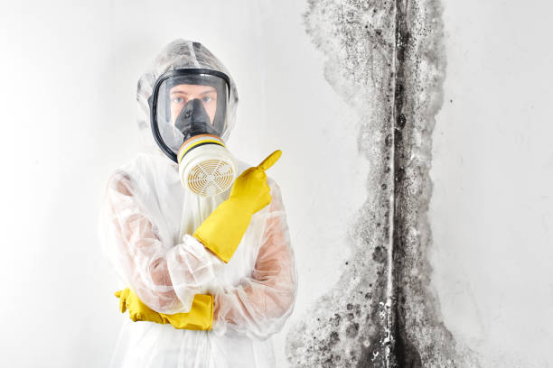 Best Comprehensive Air Testing for Mold Contaminants in Crest, CA