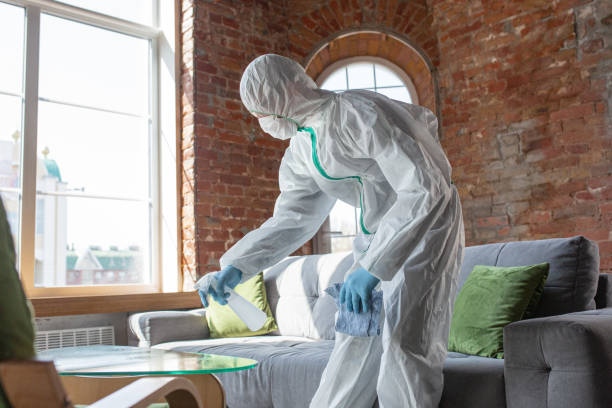 Best Mold Remediation for Healthcare Facilities in Crest, CA