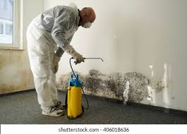 Best Water Damage & Mold Remediation in Crest, CA